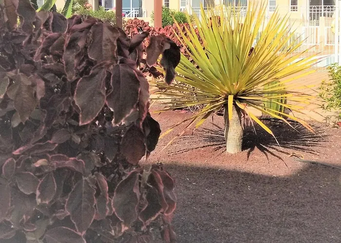 Apartamento Litha House, 3 Bed Set Over 3 Floors 5 Mins From And Amenities Caleta de Fuste