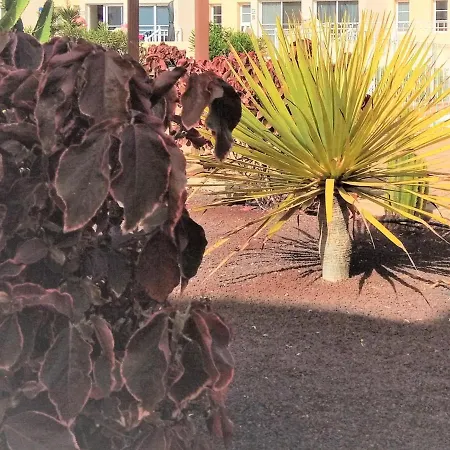 Apartment Litha House, 3 Bed Set Over 3 Floors 5 Mins From And Amenities Caleta De Fuste